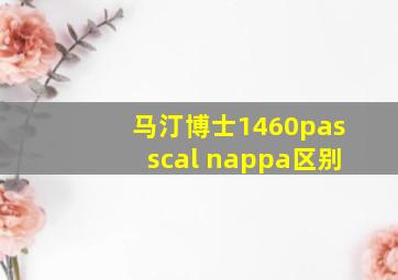 马汀博士1460passcal nappa区别